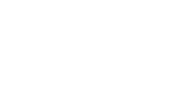 OIG